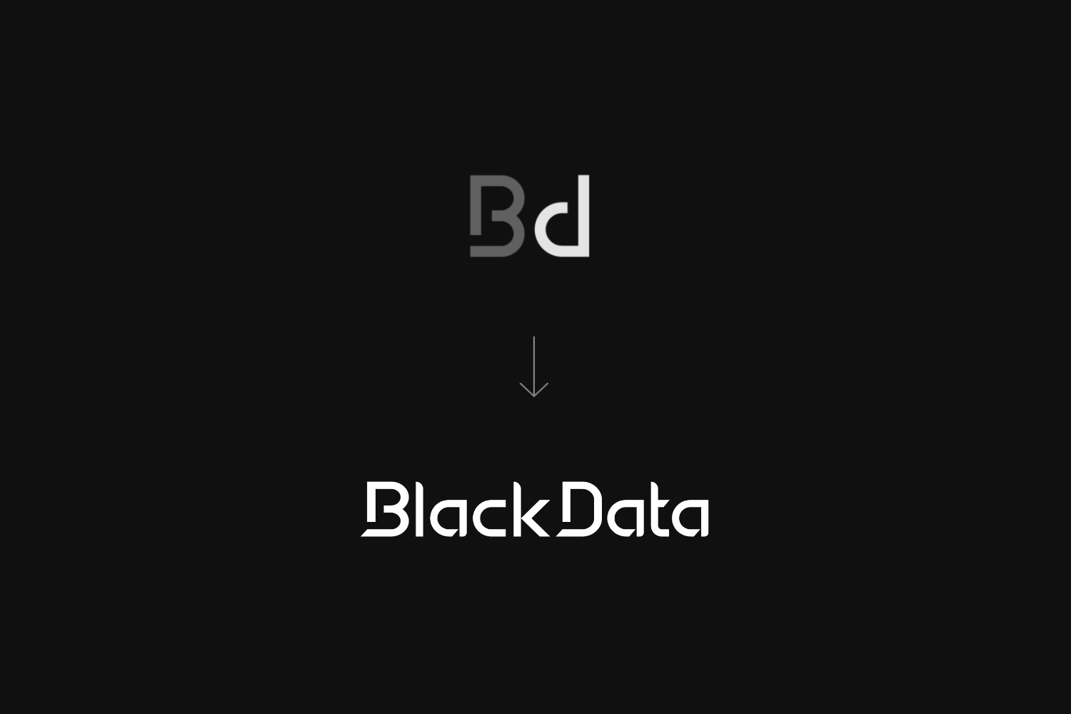 blackdata - before-after branding